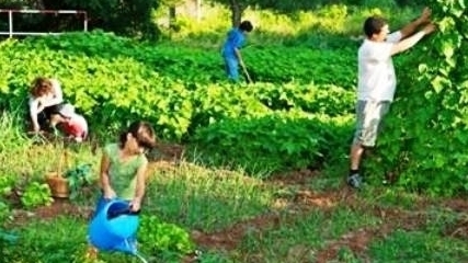 Curso de Formação em Hortas Biológicas em jardins, quintais e varandas