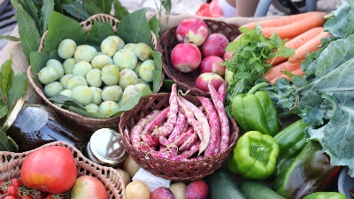 Boas práticas para a produção e a comercialização de produtos agrícolas