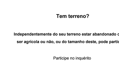 Informação a proprietários de terrenos e a produtores de frutos secos