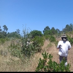 “Cientista Visitante” por terra Algarvias
