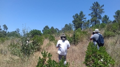 “Cientista Visitante” por terra Algarvias