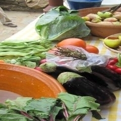 Abre mais um concurso de apoio para pequenos investimentos agrícolas