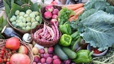 Abre mais um concurso de apoio para pequenos investimentos agrícolas