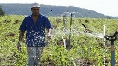 IN LOCO abre concursos de financiamento