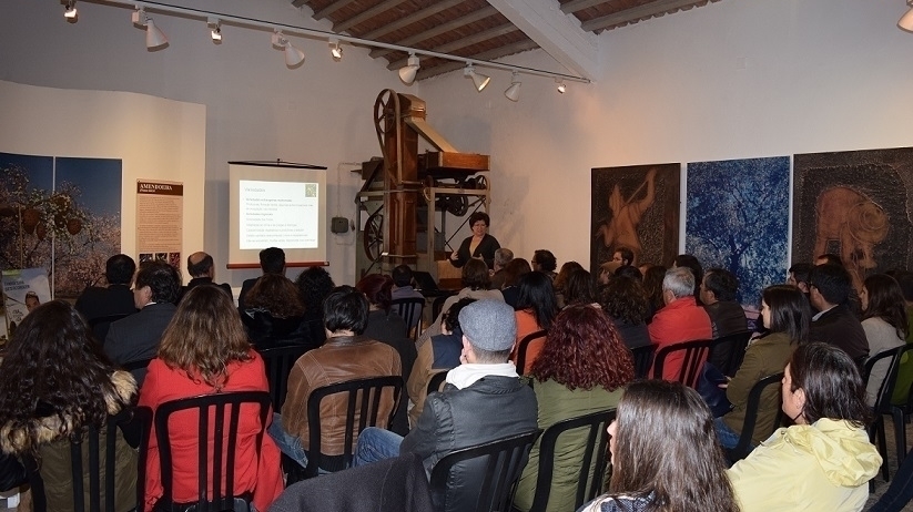 Fruteiras Tradicionais do Algarve em debate
